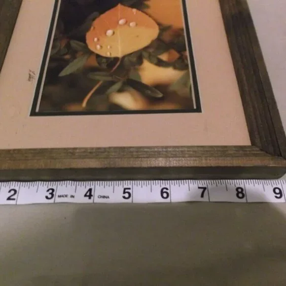 sz11x9 ART PIECE 'CHANGING ASPEN' by L. K. STARR PHOTOGRAPH WOOD FRAME MB 5540